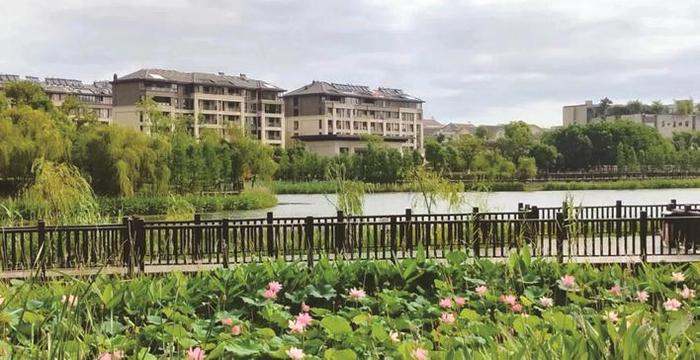 打造河湖生态公园建设 提升城乡“绿肺”功能