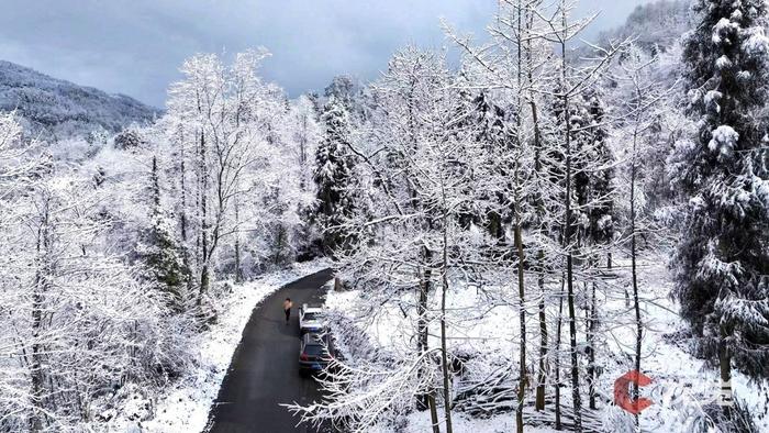 C视觉·航拍四川(62)︱打开四川下雪“群聊” 云瞰冬日浪漫盛景