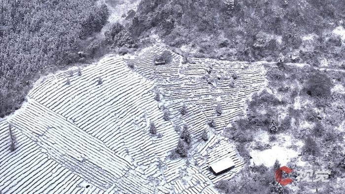 C视觉·航拍四川(62)︱打开四川下雪“群聊” 云瞰冬日浪漫盛景