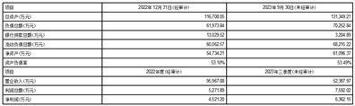 证券代码：002303    股票简称：美盈森    公告编号：2024-002