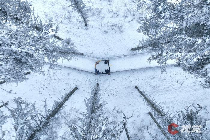 C视觉·航拍四川(62)︱打开四川下雪“群聊” 云瞰冬日浪漫盛景