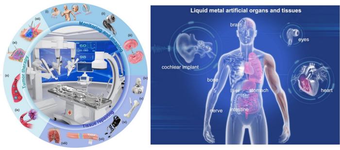 清华大学医学院刘静课题组在液态金属仿生器件、人工器官及材料创制研究中取得系列新进展