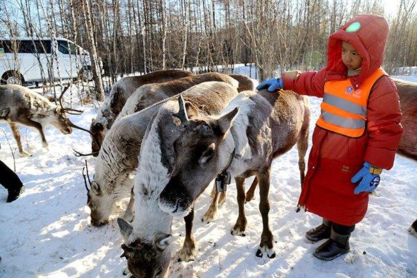 广东“小荔枝”赴大兴安岭呼中区开启冰雪游学之旅