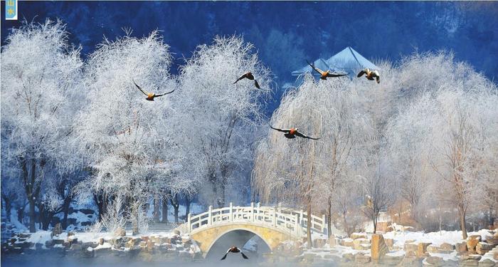 来本溪邂逅一场“冰雪奇缘”