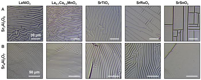 Science+1！西北大学在氧化物电子学领域取得重要突破