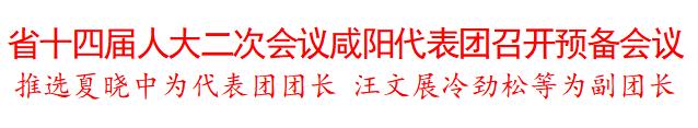 省十四届人大二次会议咸阳代表团召开预备会议 推选夏晓中为代表团团长 汪文展冷劲松等为副团长