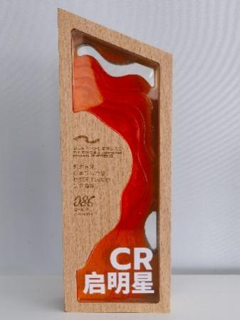 第三届中国淋巴瘤病友大会“CR卫士奖”