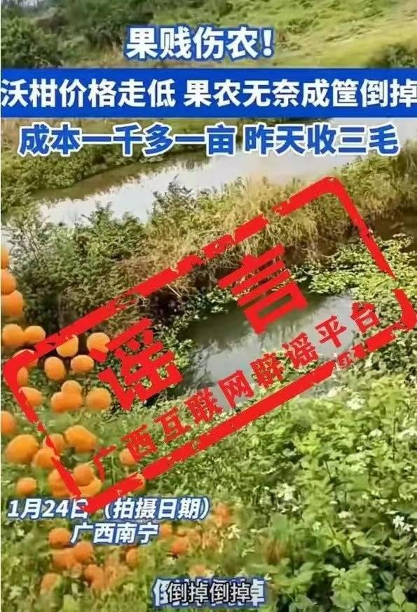 成筐沃柑倒池塘？视频拍摄者辟谣：倒掉的是次果坏果