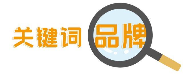 回眸2023丨崇明区司法局：四大关键词，带您感受2023年法治崇明建设的速度与激情