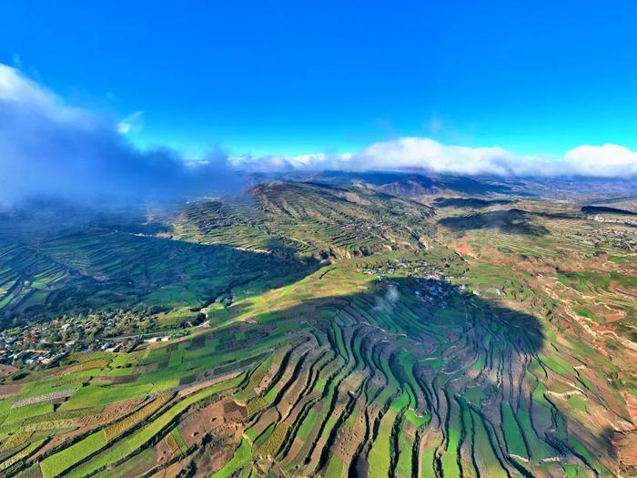 劲牌道地药材种植基地之一(甘肃岷县)