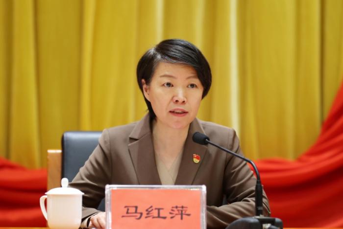 马红萍在顺义区纪委六届四次全会上作工作报告