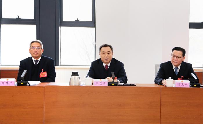 陈志清与市人大代表审议政府工作报告