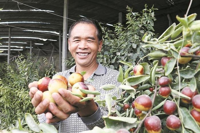 看兵团如何在粮食连年丰收的高点上继续爬坡攀升