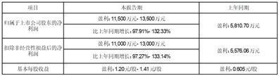 证券代码：002981    证券简称：朝阳科技    公告编号：2024-001