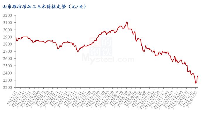 Mysteel节后预测：华北玉米节后价格或会抬升