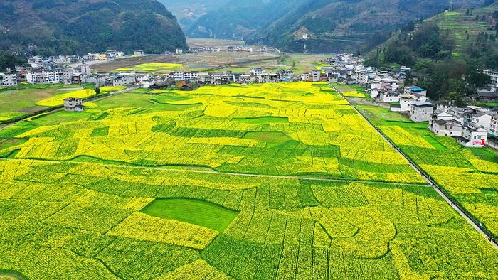 春节好去处 重庆推出11条乡村休闲暨农耕体验游精品线路