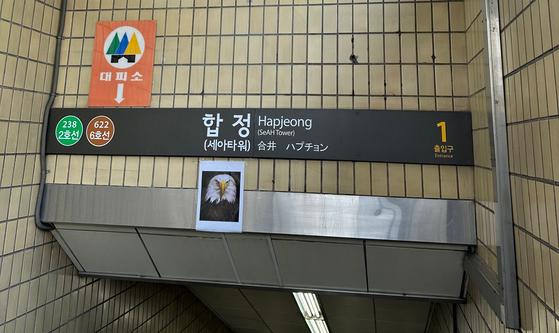 韩媒：鸽子不时闯入地铁站，首尔贴老鹰照片“恐吓”