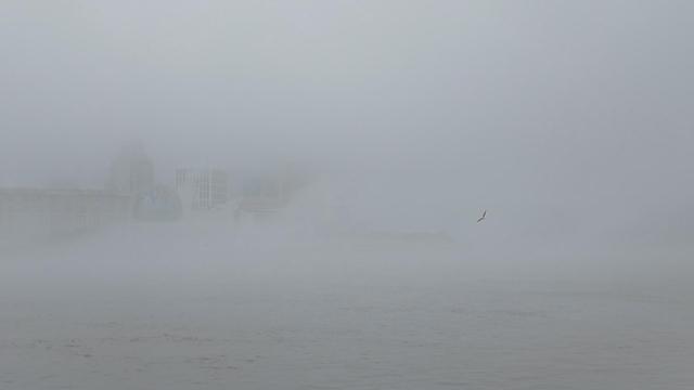 暖湿气流影响，申城大雾弥漫