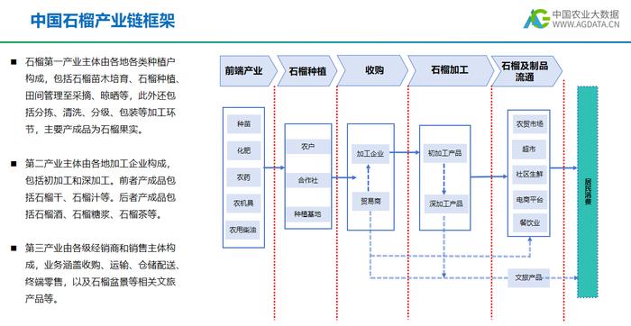 2023年中国石榴产业研究报告