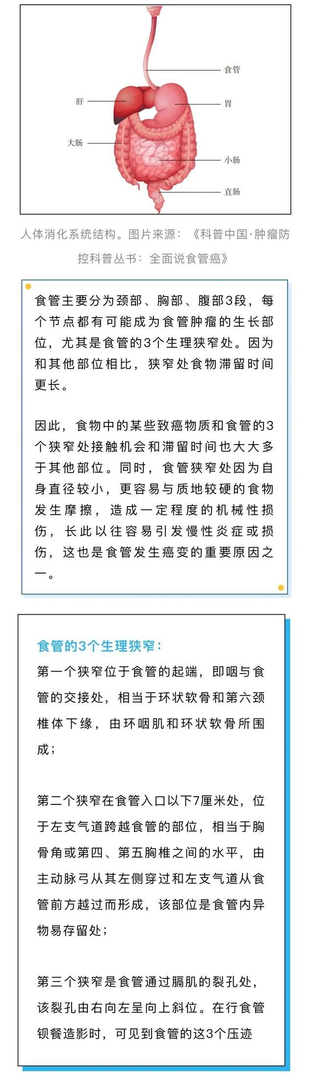 喉咙出现这4种症状，可能是食道癌预警