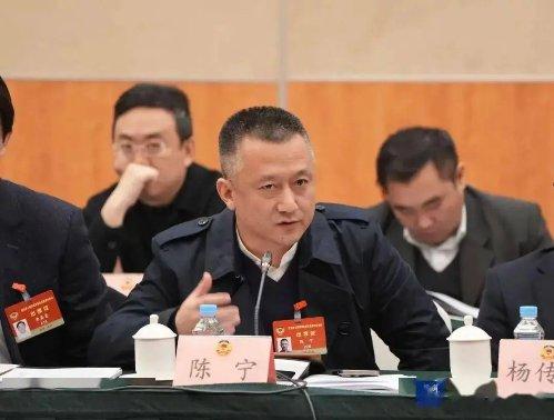 陈宁博士在联组讨论会议中发言