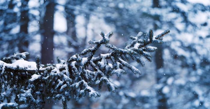 吉林首支数字人冰雪文旅宣传片《长白天下雪，雪域见奇遇》发布