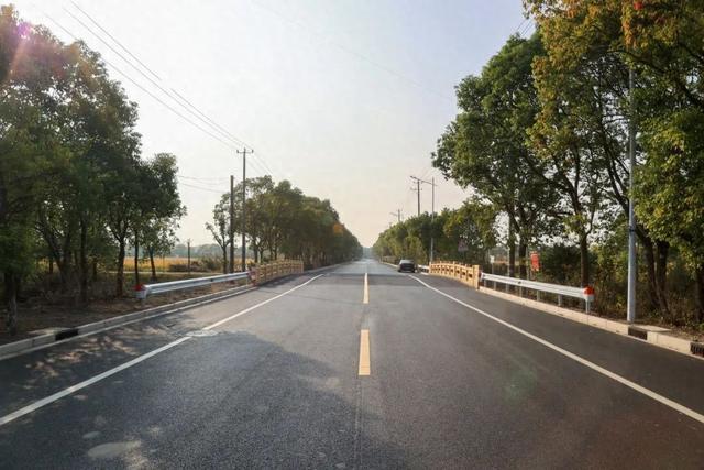 一路幸福，一路平安！金汇镇的这几条路获评上海市“四好农村路”示范路！