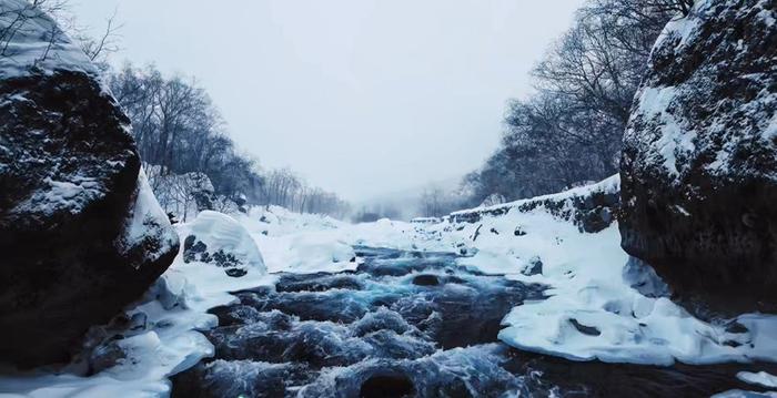 吉林首支数字人冰雪文旅宣传片《长白天下雪，雪域见奇遇》发布