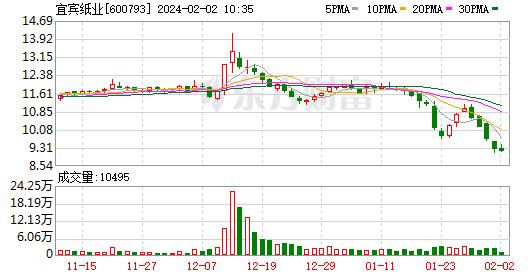 践行绿色发展理念 宜宾纸业年用竹量超80万吨