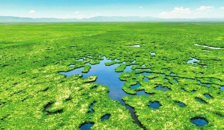 四川湿地盘点：建立各级湿地类型自然保护区32个