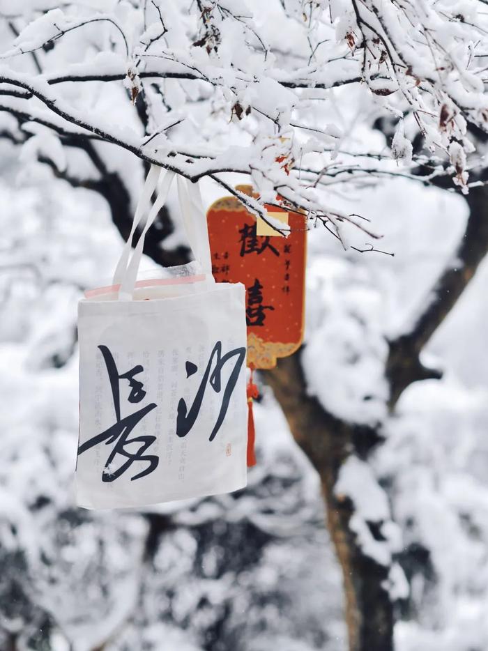 “我拍的岳麓山雪景被外交部发言人分享了！”95后女孩用镜头为长沙上分