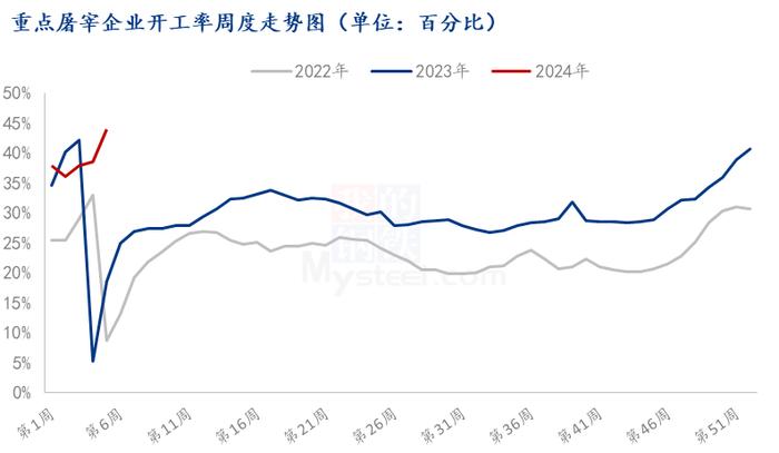 Mysteel解读：节前集中备货降温，毛猪及白条触顶回落