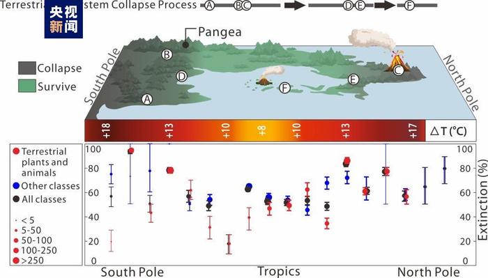 中美科学家精确测定2亿多年前大灭绝时间，研究发现低纬度地区灭绝率相对较低