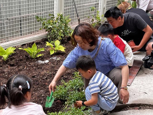 上海人，学会与动植物相处吧