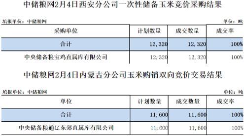 中储粮网2024年2月4日玉米竞价交易结果