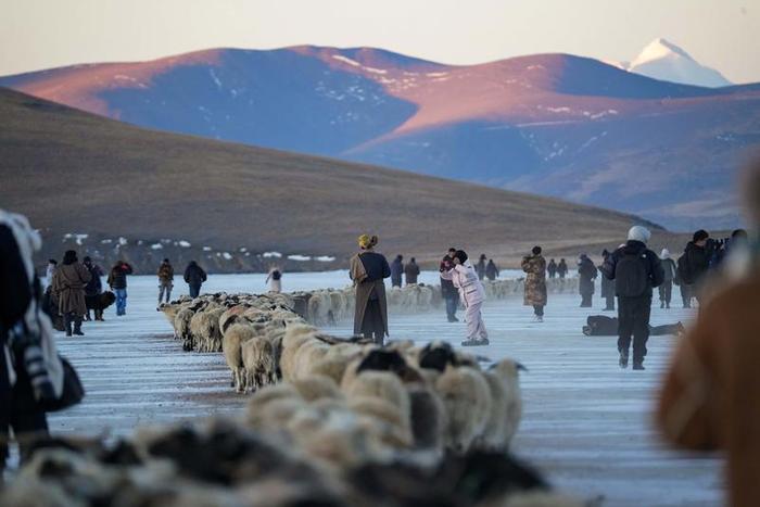 在普莫雍措赴一场冰湖赶羊盛宴