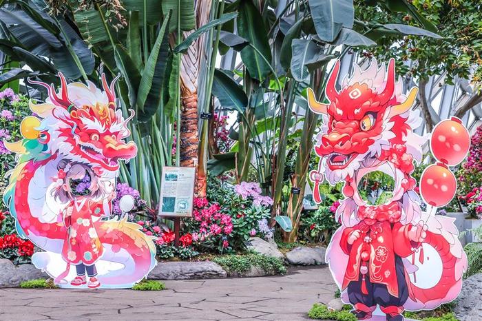 辰山植物园迎春花展即将启幕，姓名带“龙”字的游客免门票