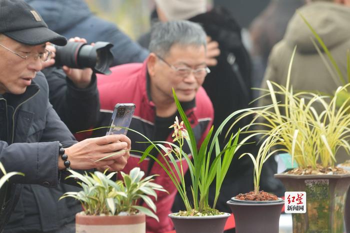 喜迎2024年成都世界园艺博览会，邛崃市首届花卉盆景艺术季开幕