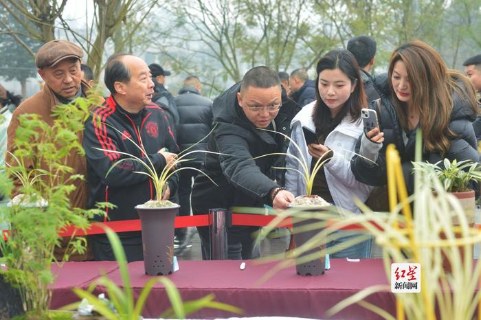 喜迎2024年成都世界园艺博览会，邛崃市首届花卉盆景艺术季开幕