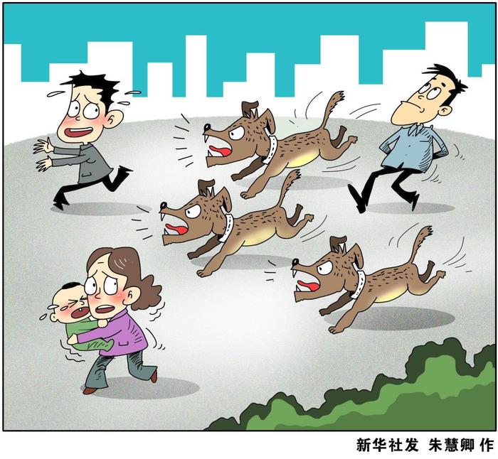 如何管理犬只才能避免民事赔偿？最高法发典型案例