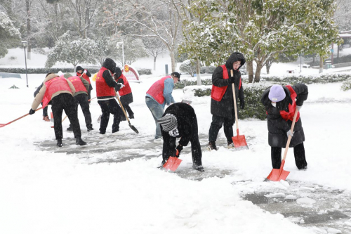 ▲梧桐树保险经纪志愿者帮助清理积雪