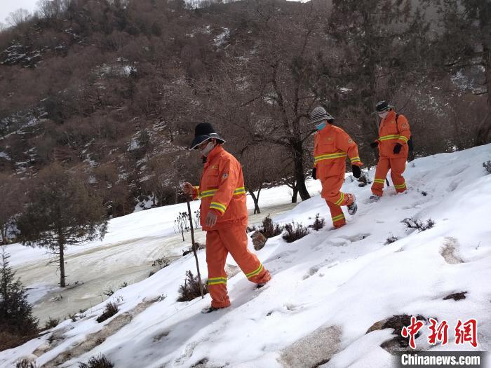 祁连山林海“她力量”：忙碌身影不在厨房，而在深山老林