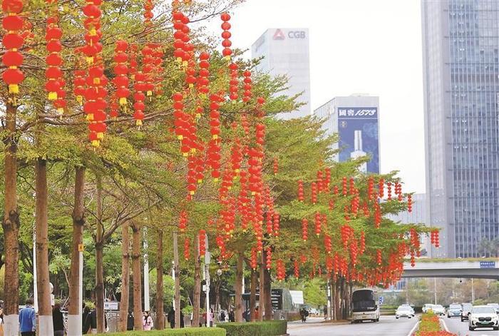 种鲜花挂灯笼插国旗 道路绿化带布置一新 春节将至深南大道化身绚丽花路