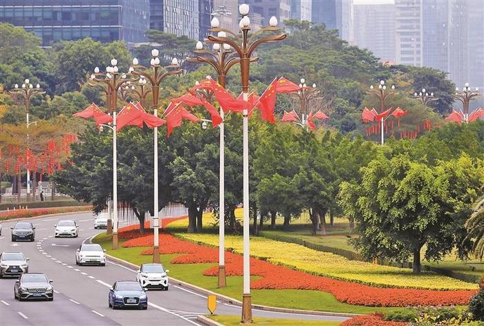 种鲜花挂灯笼插国旗 道路绿化带布置一新 春节将至深南大道化身绚丽花路