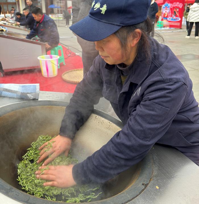 宜宾早茶“开园第一采”！当地茶树萌芽时间比江浙、安徽等主产区提前约30天