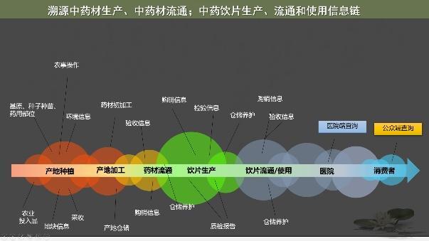 从田头到嘴边，中药材产品质量在心头｜行业协会商会服务高质量发展