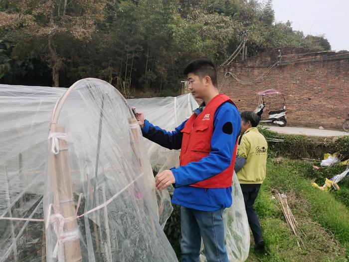 人保财险福建漳州华安支公司：冻灾理赔暖民心