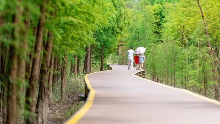 崇明第一、上海第五！崇明西沙明珠湖景区升级5A景区