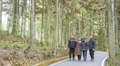 福建省周宁县后洋村村民黄振芳一家接续奋斗——四十年，种好守好一片林（绿水青山守护者）