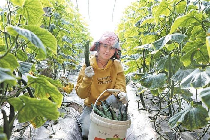 兵团印发《行动方案》，深入学习运用“千万工程”经验、实施乡村振兴“百连示范工程”——157个样板连队这样创建